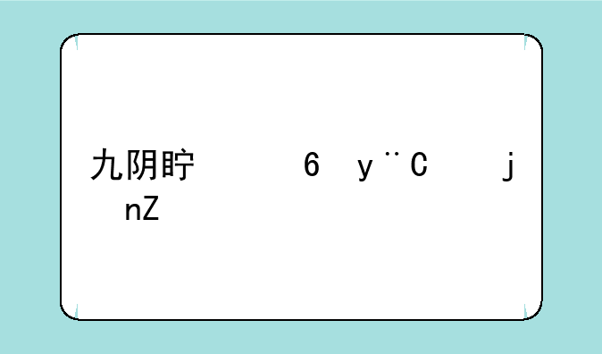 九阴真经的99武学