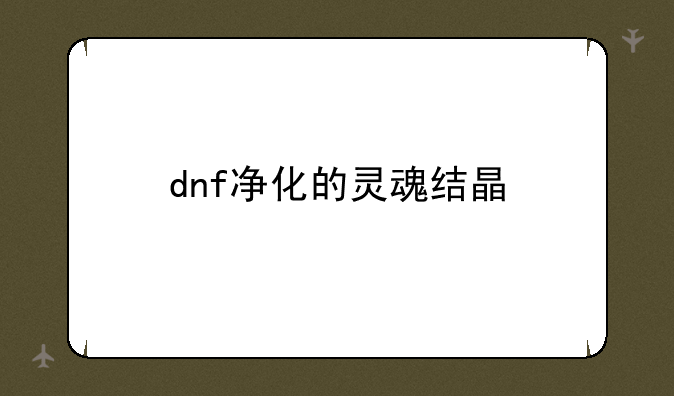 dnf净化的灵魂结晶