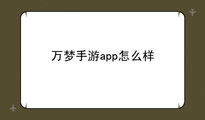 万梦手游app怎么样