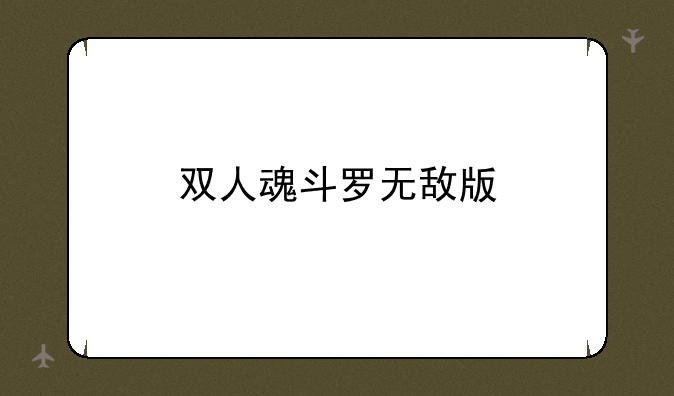双人魂斗罗无敌版