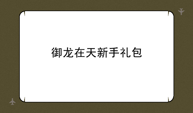 御龙在天新手礼包