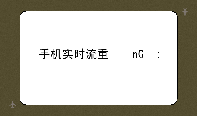 手机实时流量监控