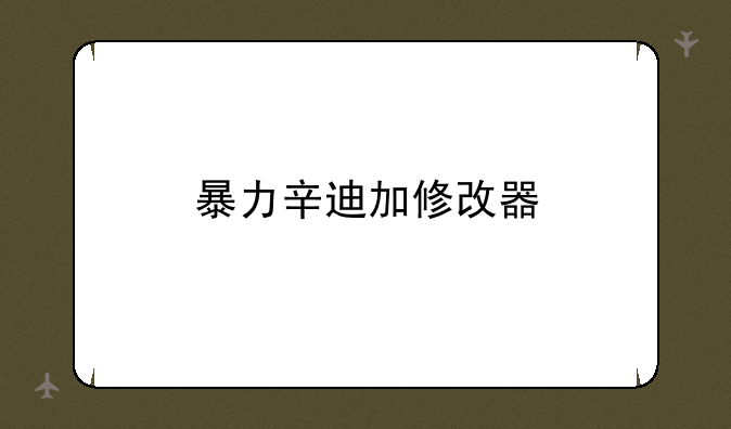暴力辛迪加修改器
