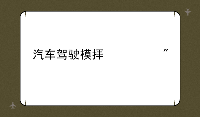 汽车驾驶模拟游戏