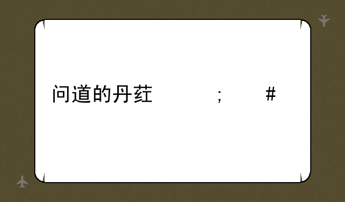 问道的丹药怎么练