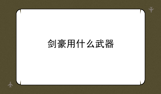 剑豪用什么武器