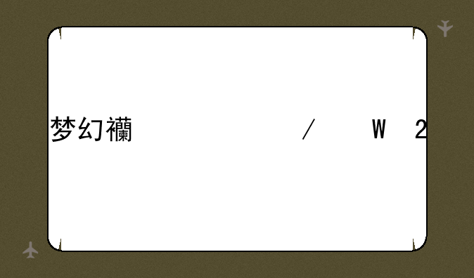 梦幻西游测试区