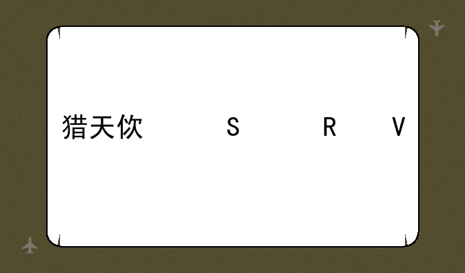 猎天使魔女攻略
