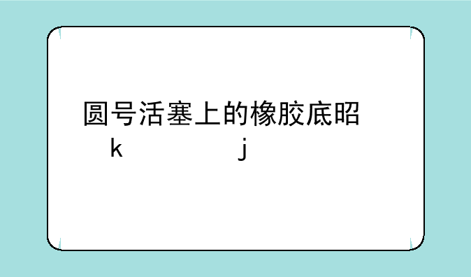 圆号活塞上的橡胶底是多大的