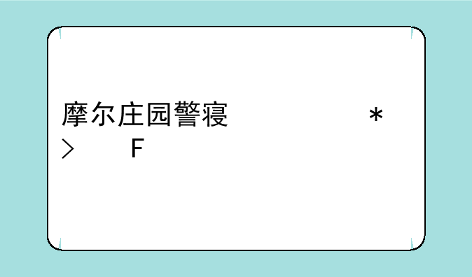 摩尔庄园警察任务古董失窃案