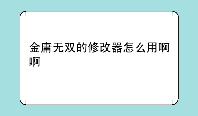 金庸无双的修改器怎么用啊啊