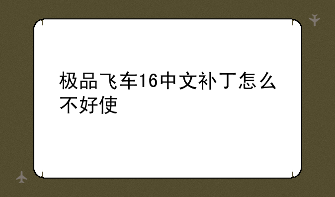 极品飞车16中文补丁怎么不好使