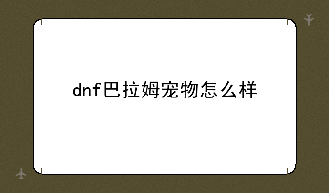 dnf巴拉姆宠物怎么样