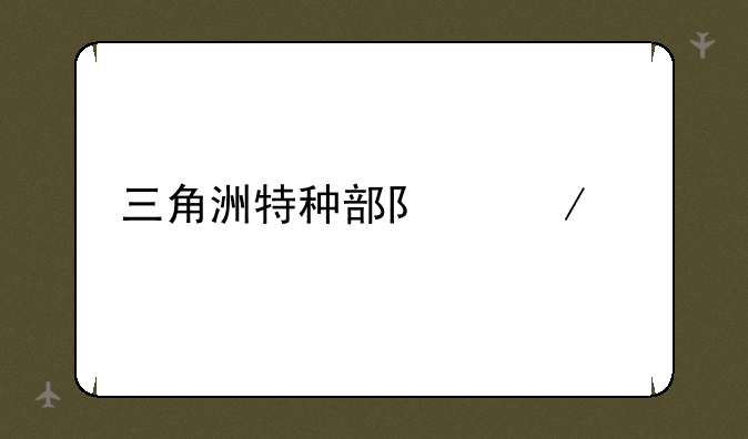 三角洲特种部队下载
