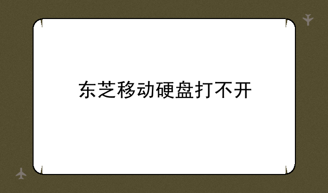 东芝移动硬盘打不开