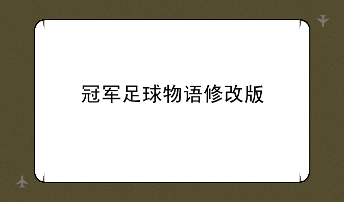 冠军足球物语修改版