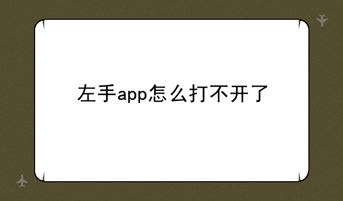 左手app怎么打不开了