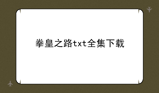 拳皇之路txt全集下载