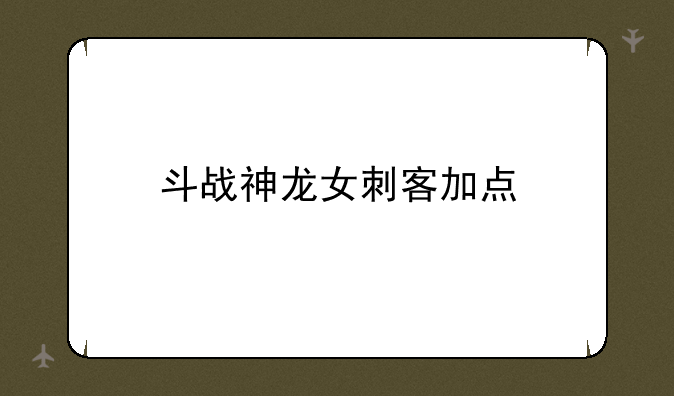斗战神龙女刺客加点