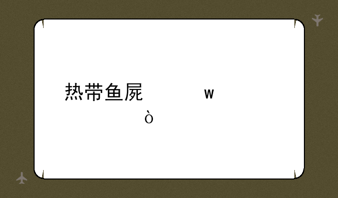 热带鱼屏保激活码？