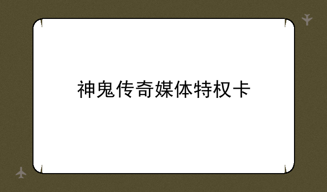 神鬼传奇媒体特权卡