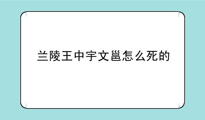 兰陵王中宇文邕怎么死的
