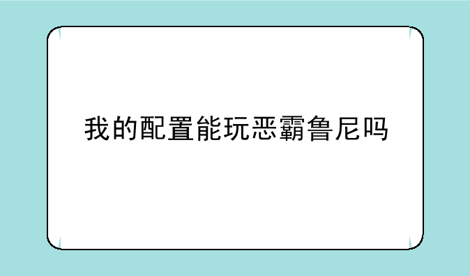 我的配置能玩恶霸鲁尼吗