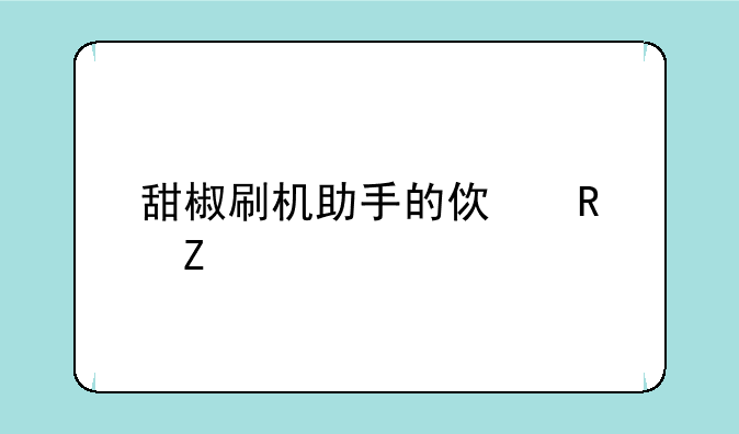 甜椒刷机助手的使用方法