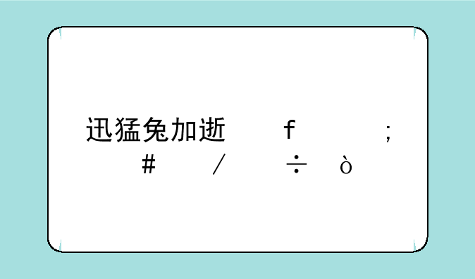 迅猛兔加速器怎么下载？