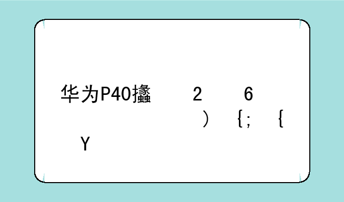 华为P40支持升级鸿蒙系统吗