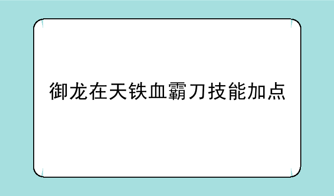御龙在天铁血霸刀技能加点