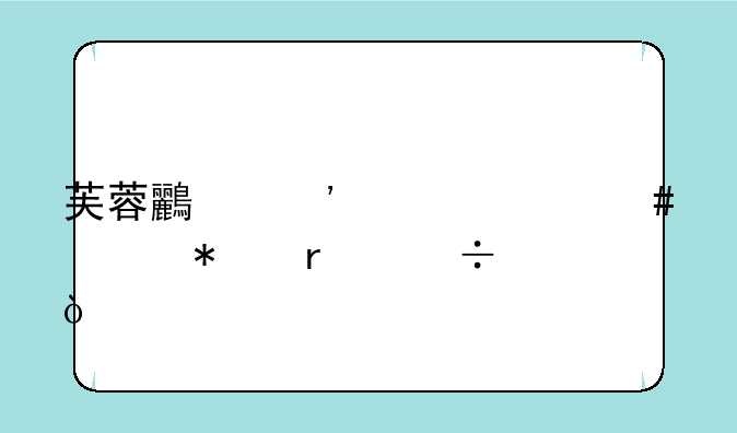 芙蓉鸟选购什么季节最好？