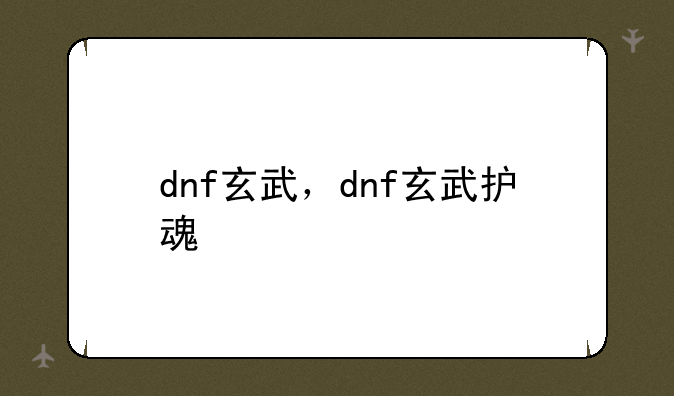 dnf玄武，dnf玄武护魂