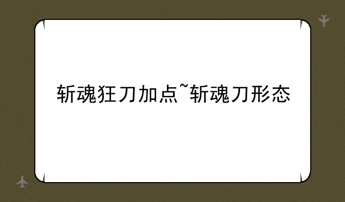 斩魂狂刀加点~斩魂刀形态