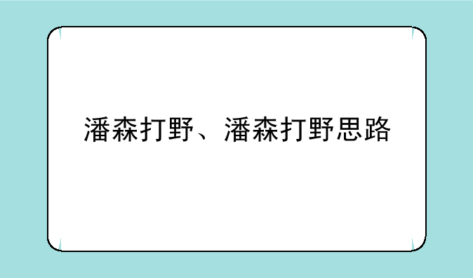 潘森打野、潘森打野思路