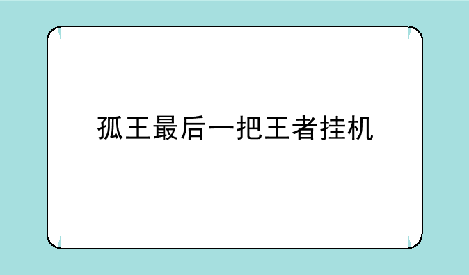 孤王最后一把王者挂机