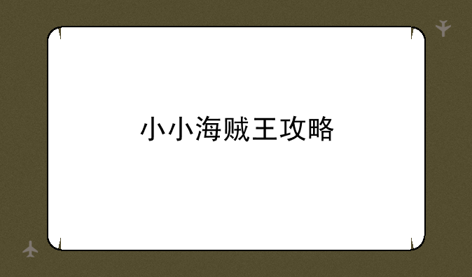小小海贼王攻略