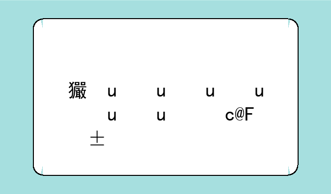 王者xx下载