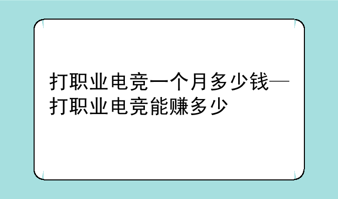 打职业电竞一个月多少钱—打职业电竞能赚多少